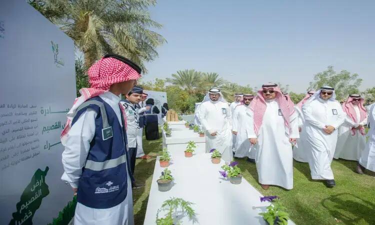 اجتمع عدد من رجال مرتدين الزي السعودي الرسمي، يشمل الغترة أو الشماغ مع ساحة العقال والبشت السعودي، بالإضافة إلى أحد المشاركين بسترته الرسمية، في الخارج حول طاولات عليها شتلات صغيرة. جاء ذلك ضمن جهود زراعة الأشجار التي ساهمت تحت مظلة شركة النخيل وبجوار لوحة تحمل عبارة "أرض القصيم الخضراء" باللغة العربية، في رعاية رعاية جامعة القصيم بالاستدامة الاقتصادية.