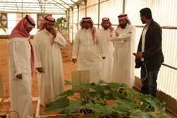Communication A group of men, Saudi Shemagh or Saudi Ghutra is required, are inside a greenhouse observing the growth of green plants in a wet basin, as part of the Goal 13 reporting process.