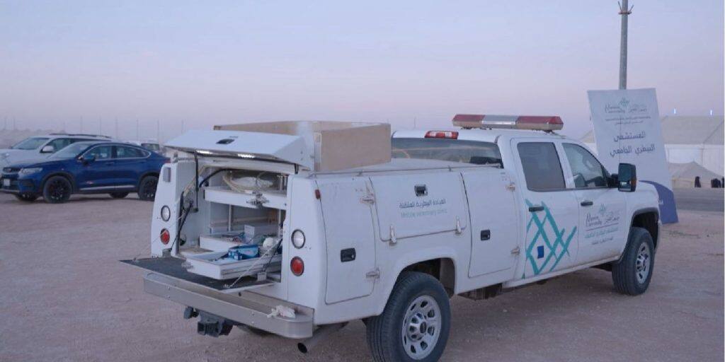 Services bearing the Qassim University logo are discontinued at a university site to support academic work.